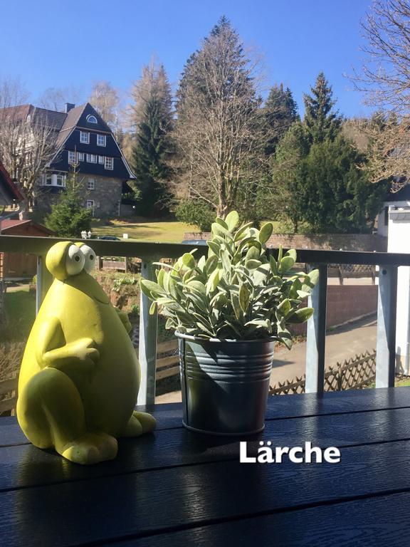4 moderne FEWO Nowak-Bals zur Auswahl Braunlage Exterior foto